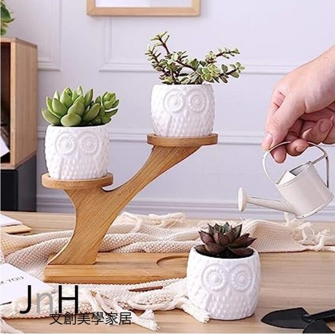 植栽 ─ 【貓頭鷹在家】