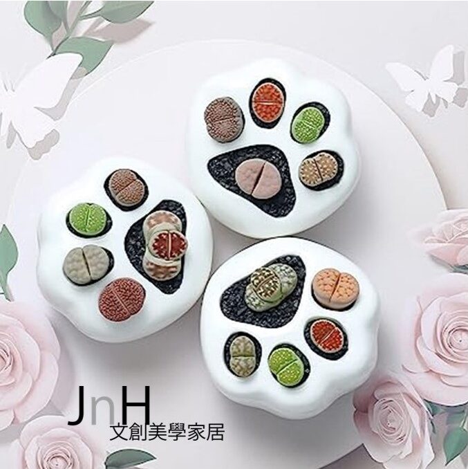 植栽 ─ 【貓爪長花】