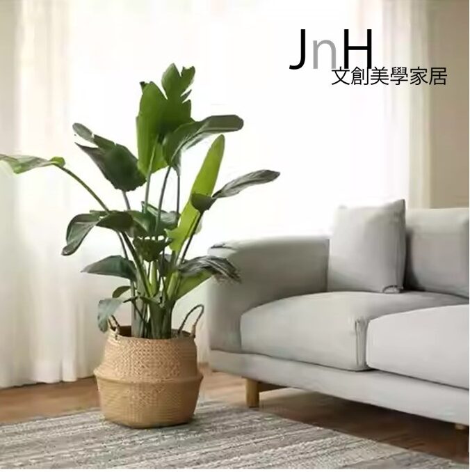無印藤籃 ─ 【萬用花籃（小）】