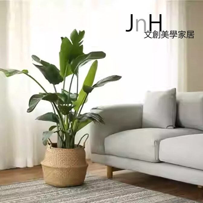 無印藤籃 ─ 【萬用花籃(大)】1 無印藤籃 ─ 【萬用花籃(大)】