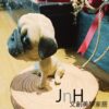 家飾 ─ 【大頭狗/巴哥犬】