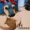 家飾 ─ 【大頭狗/德國牧羊犬】