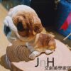家飾 ─ 【大頭狗/英國鬥牛犬】