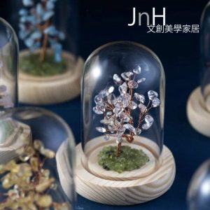 照1